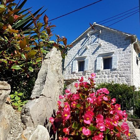 Old Stone Villa Lalosevic 科托尔 外观 照片