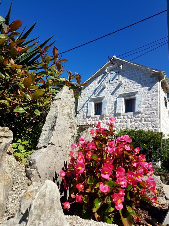 Old Stone Villa Lalosevic 科托尔 外观 照片